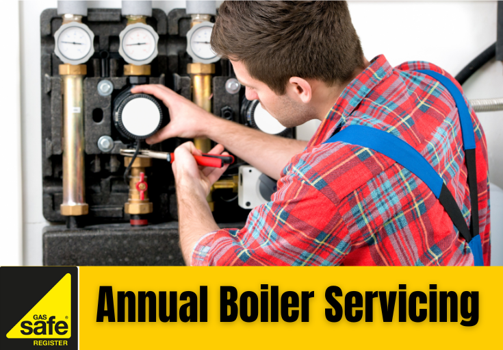 annual boiler servicing Erith